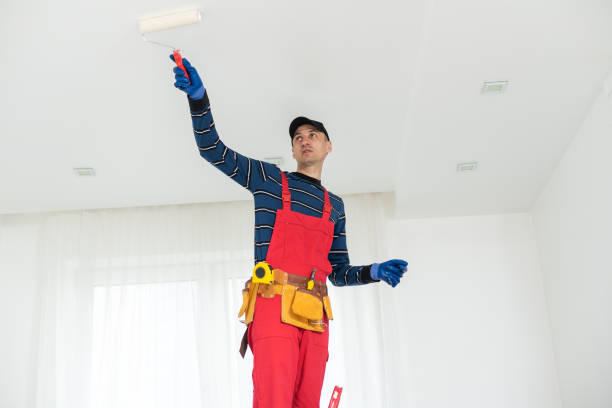 Best Drywall Removal and Disposal  in Evergreen, MT