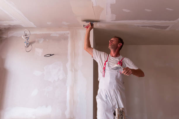 Best Drywall Installation  in Evergreen, MT